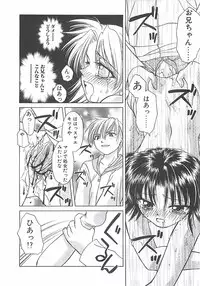 [Shizaki Masayuki] Abyssinian