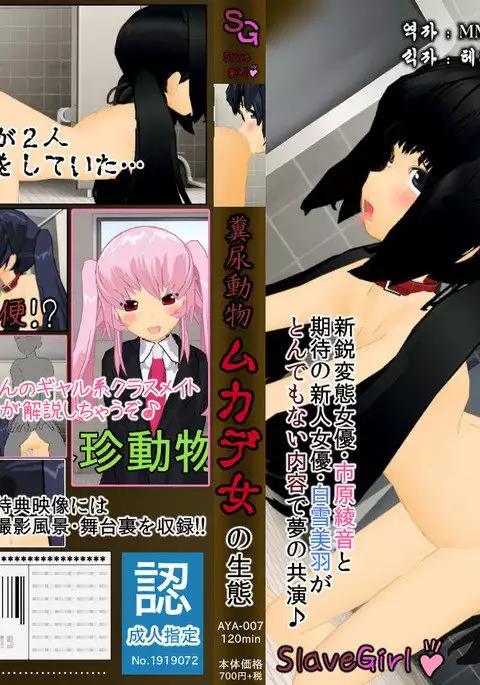 Muriyari AV Joyuu Ayane-chan