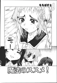 [Kaorunaoko Sakakibara] Chichi Bust