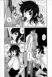 [Yamamoto Yoshifumi] Inzetsu no Bara - Desolute Rose