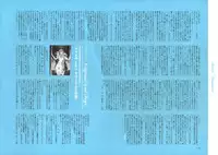 [Nishieda] Dendrobium