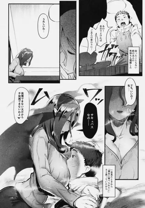 Succubus Miboujin Hirusagari no Himitsu