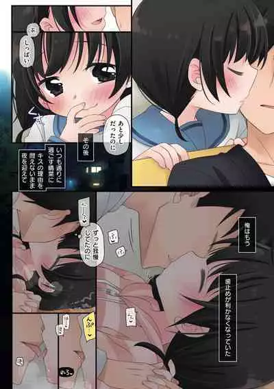 Watashi ga 3 Nenkan sareta Koto.