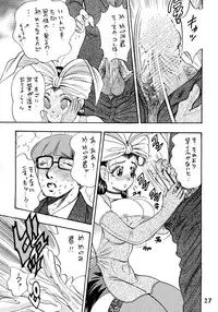 [Bijogi Junction (Bijogi Junction)] Hime Sakunyuu