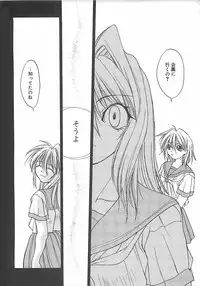 [Shizaki Masayuki] Abyssinian