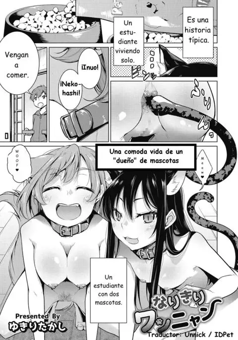 Una cómoda vida de un "dueño" de mascotas