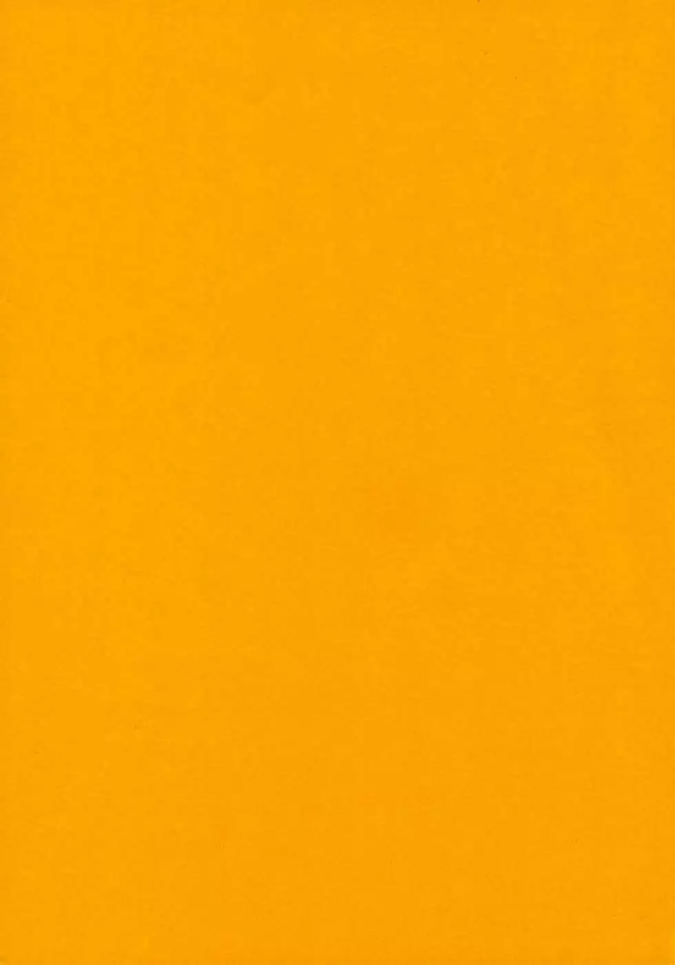 Ding Ding 1 Complete