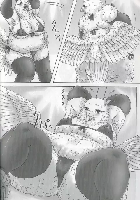 Hato Oku-sama no Late Show