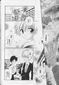 [Anthology] Teddy Boy Vol.4