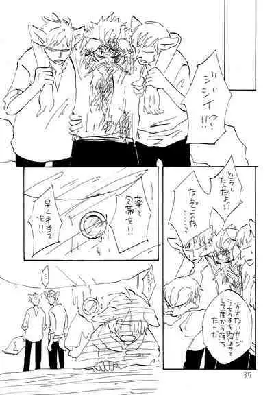 海の虹が沈む森