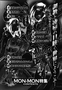 COMIC Shitsurakuten 2007-11