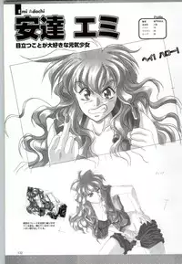 (一般画集) [F&C] バーチャコール シリーズ設定原画集