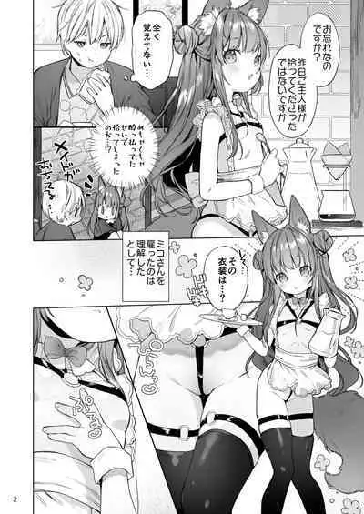 Sexy Maid Hiroimashita