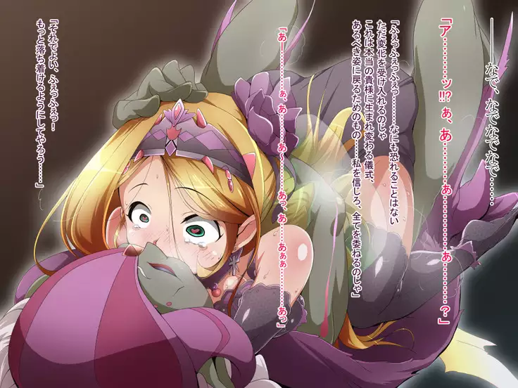 Hero Rengou Sennou Kanraku no Wana ~Battle Sister Hen~