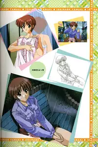 [Visual Fanbook][F&C] きゃんきゃんバニー プルミエール２攻略&設定資料集