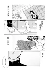 [Nagareboshi Hikaru] Tokubetsu na Hi