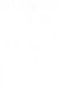 (Kouroumu 5) [Dr.VERMILION (Petenshi)] Wazuka na Omocha no Gensoukyou (Touhou Project)