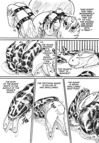 [Sumomo Dou] Bibi Anbetsu 32 [English] [Anonymous]