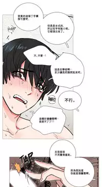 [The Jinshan] Sadistic Beauty Ch.1-17 [Chinese] [17汉化]