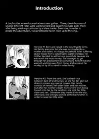 [Remora Works (Memeo)] FUTACOLO CO -BROTHEL- [English] {Hennojin}