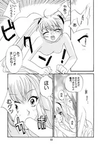 [Shungabu (Kantamaki Yui)] Yousei no Haoto (Martian Successor Nadesico)