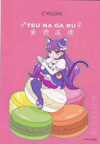(COMIC1?11) [Cyclone (Izumi, Reizei)] ?TSU NA GA RU? (Kirakira PreCure a la Mode) [Chinese] [?????]