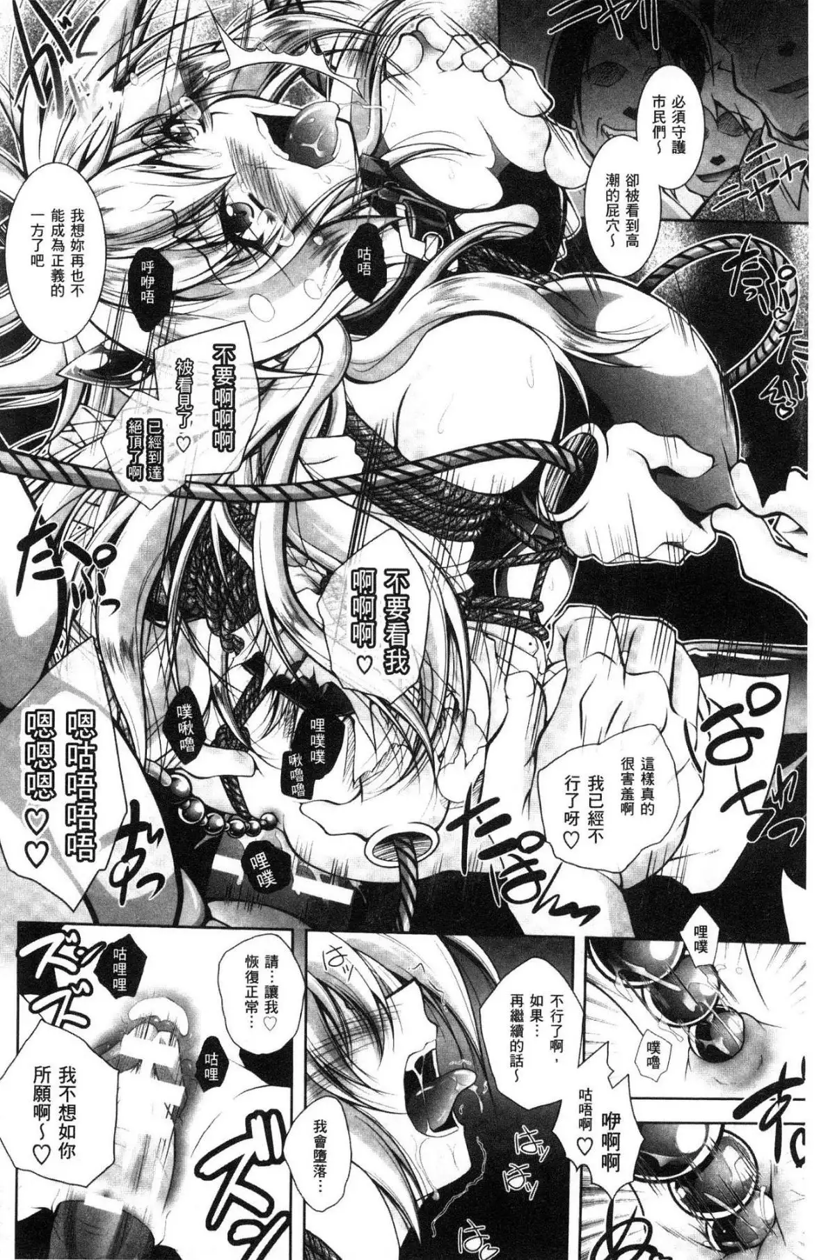 Fallen Justice -Seigi Shittsui-