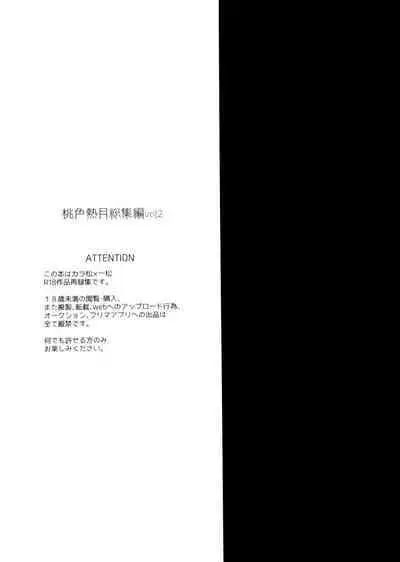 Momoiro-netsuduki Soushuuhen Sairoku 2