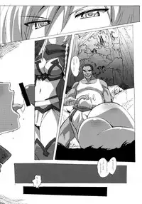 (C76) [Makikusu (Makinaru)] QUEEN'S BREAK HISTORY (Queen's Blade)