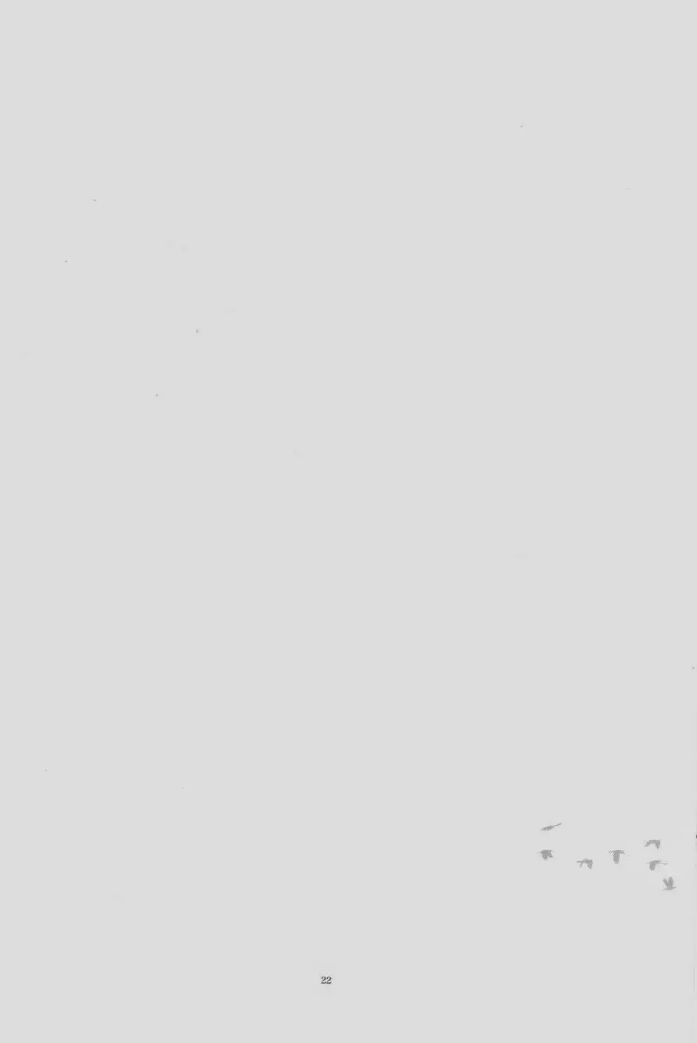 Yoridori Midori – Batman