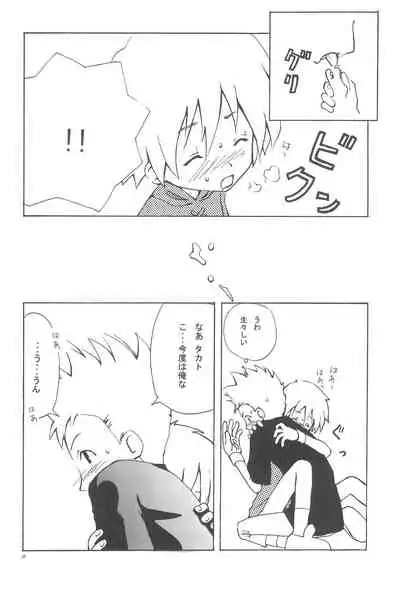 ANALOG COMMUNICATION