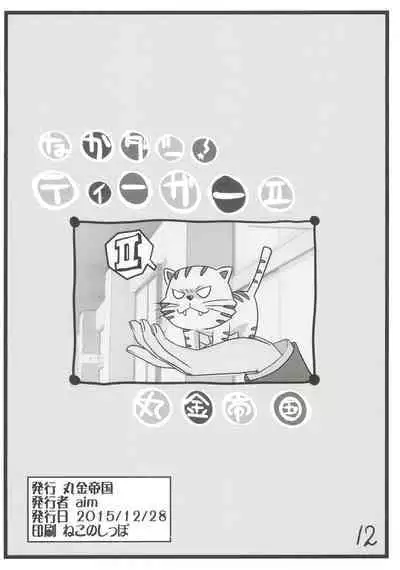 (C89) [Marukane Teikoku (AIM)] Nakadashi! Tiger II (Toradora)