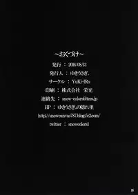 (C90) [YuKi-IRo (Yukiusagi.)] Himegoto Toshokan (Touhou Project)