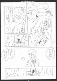 [THIRD BRAND] Illya Route Kouryaku! Ni. (Fate/Stay Night)