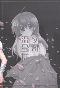 [Sakurakan (Seriou Sakura)] Yuuyami Ryuuseigun (Inuyasha)