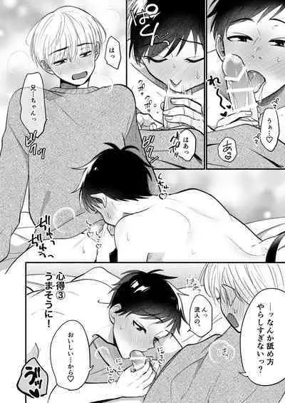 Ore mo Otouto mo Hentai ja Nai! Koto mo Nai!!