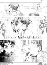 [Gensou Kuukan (Mizuhara Mei)] Citron Cinderella [Digital]