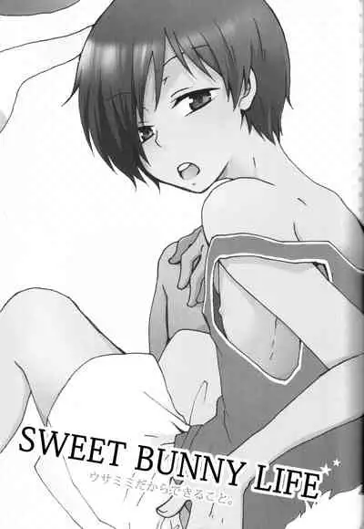 Sweet Bunny Life