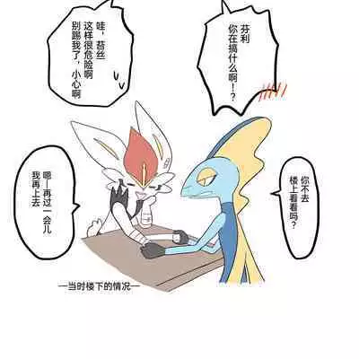 |宝可梦的故事(呜鸟木个人汉化组)