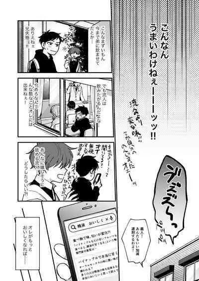 Ore mo Otouto mo Hentai ja Nai! Koto mo Nai!!