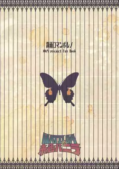 Kirisame Roman Porno