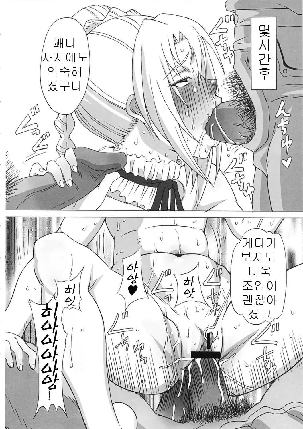 Hilda-san ni Hidoi Koto wo Shitemita