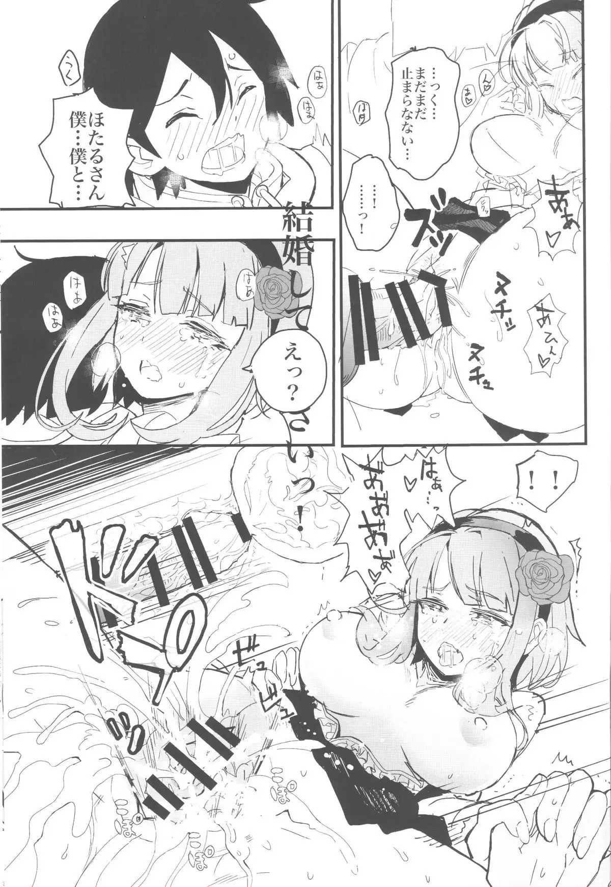 Hotaru-san no Katei no Jijou