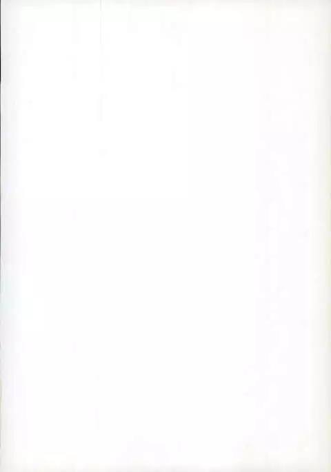 Kimi ni Usagi to Sukoshi no Curry