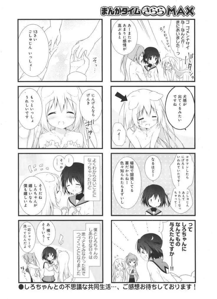 しろいぬシンドローム