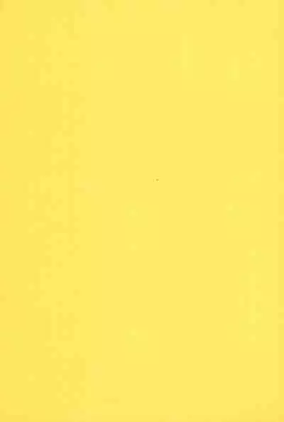 Heartbreak Taiyouzoku