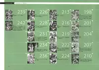 [Nishieda] Dendrobium