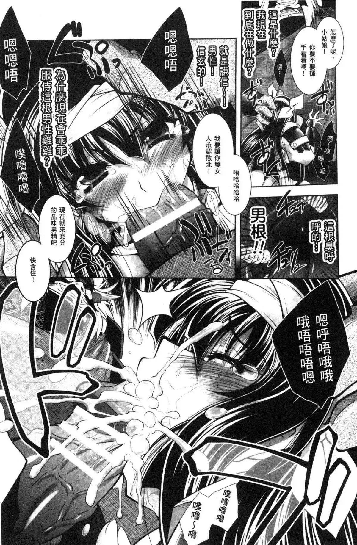 Fallen Justice -Seigi Shittsui-