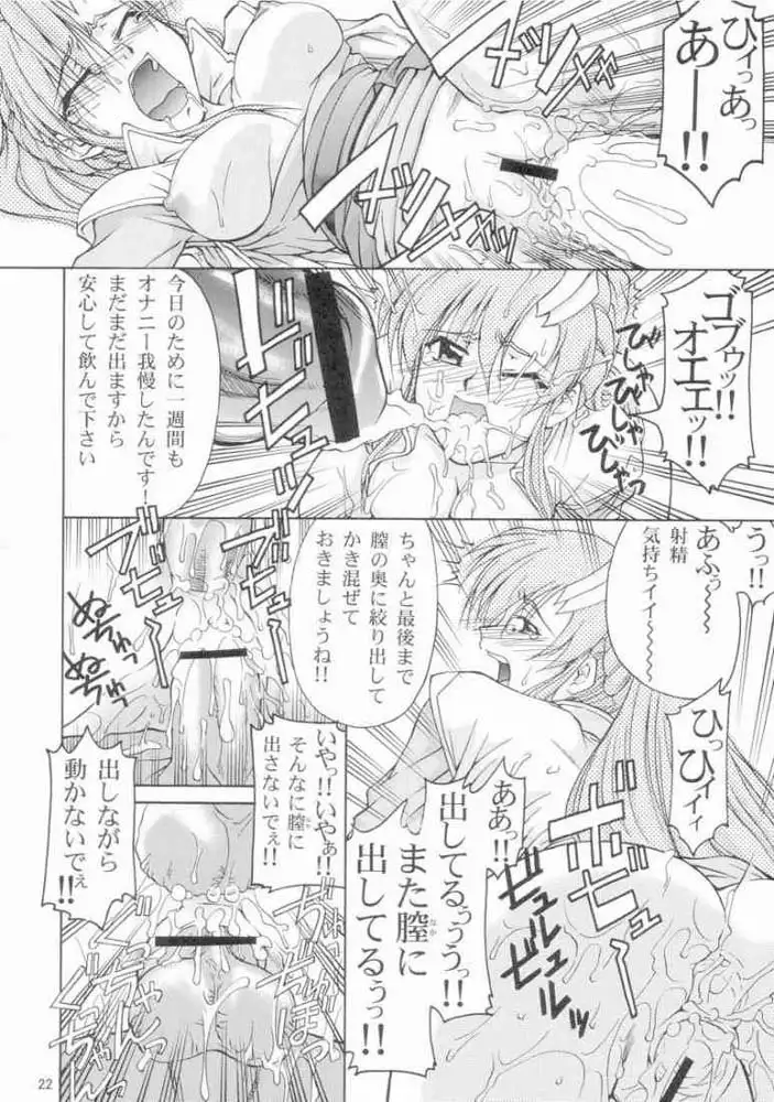 Gundam Seed - Emotion 29