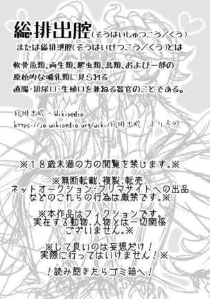 のぞいてみよう_総排出腔__